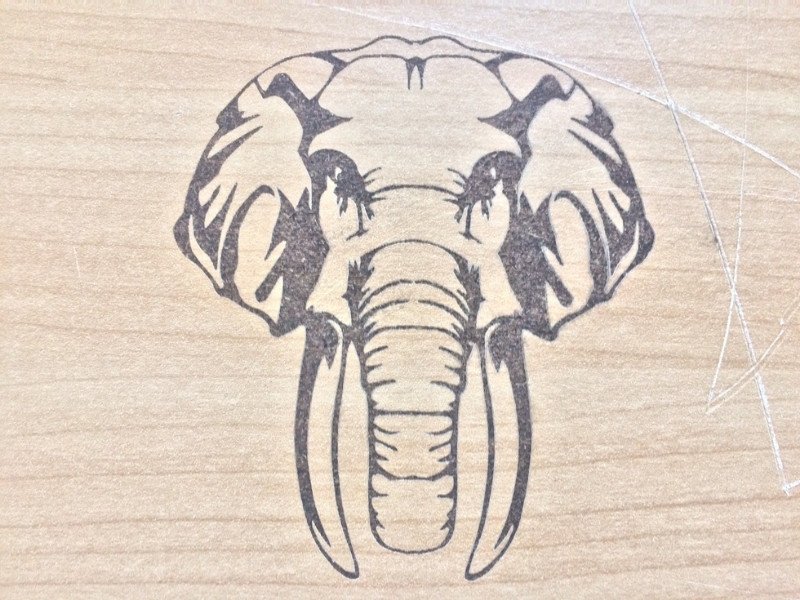 Elephant engraving laser Longer Ray 5