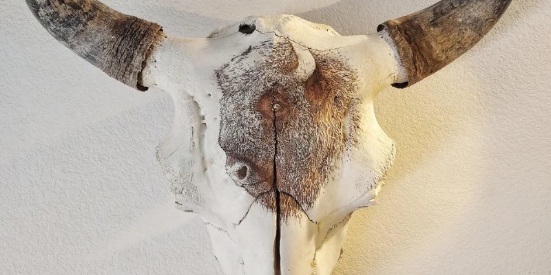 Personal bison artwork laser etched on skull. (Source: Reddit)