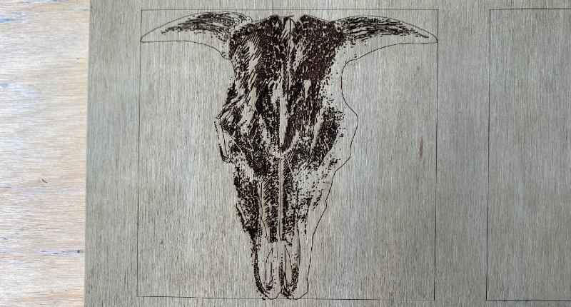 A laser engraved animal skull on plywood