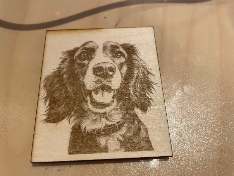 Laser cut 3mm basswood in a single pass with dog engraved design